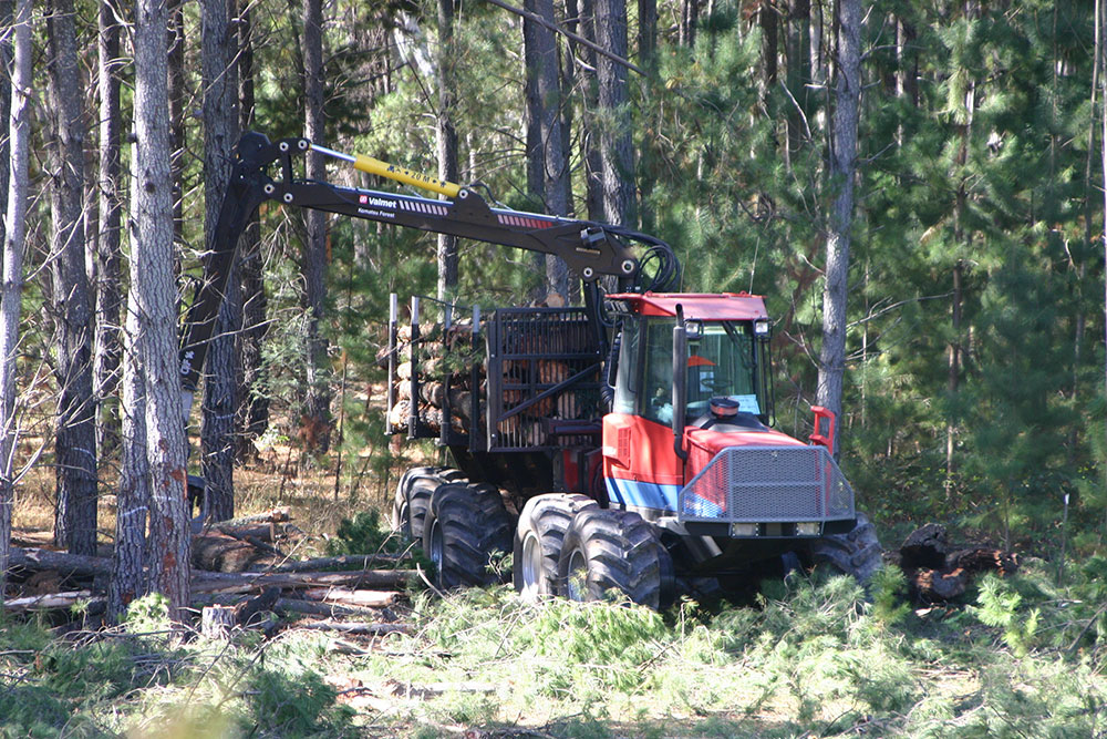 Harvesting radiata pine – blog coming soon.