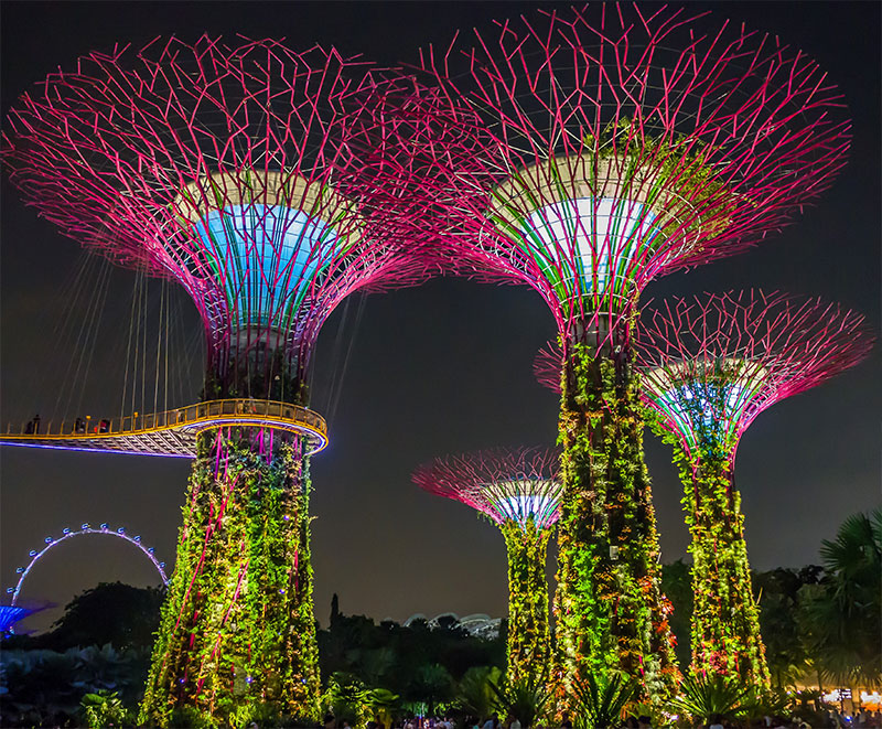 Singapore’s 18 Supertrees have become shorthand for Singapore itself, in much the same way that the Eiffel Tower says Paris.