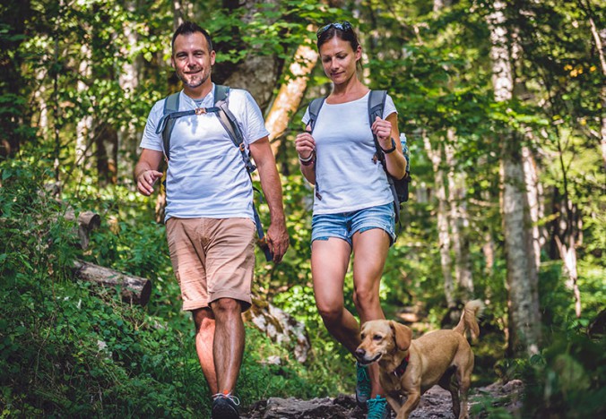 Couple walking dog in forest